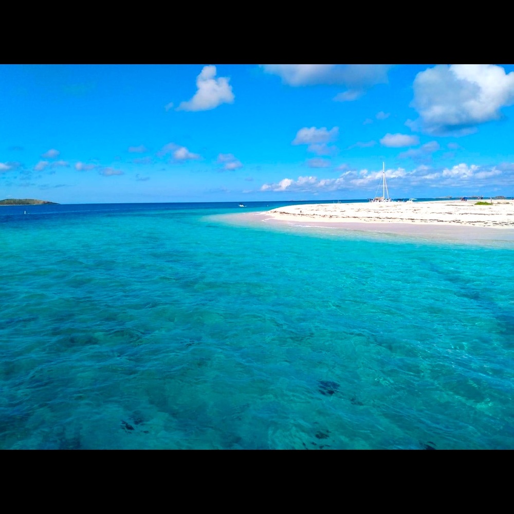 Meet your Posher, Miss K